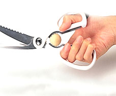 Kéo làm bếp có răng cưa Nhật Bản