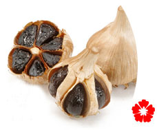 tỏi đen nhiều nhánh