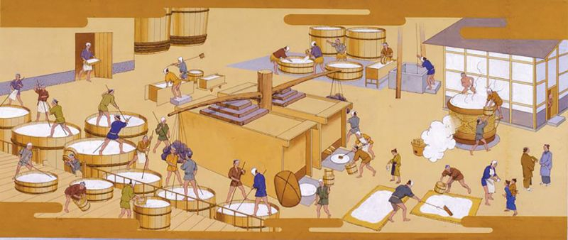 Những nguyên liệu có thể làm nên rượu Sake Nhật Bản