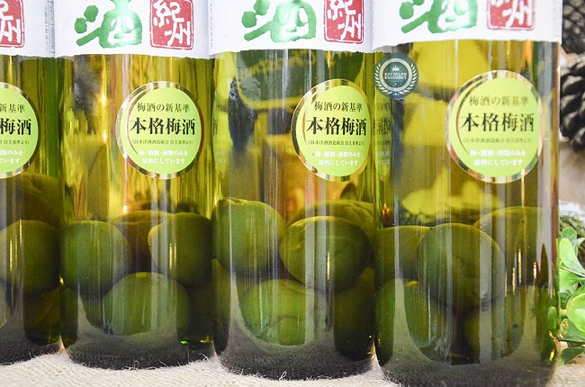 Địa chỉ mua rượu mơ nhật chính hãng