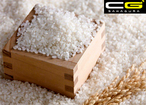 Chi tiết 9 loại gạo dùng làm rượu sake Nhật Bản