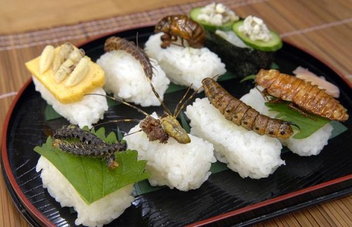 Những món ăn lạ chỉ có ở Nhật