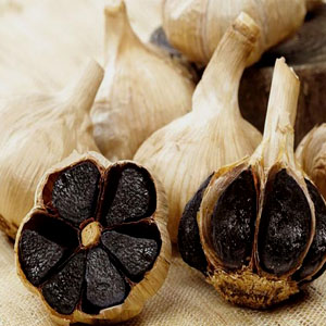 tỏi đen nhật bạn chính hãng