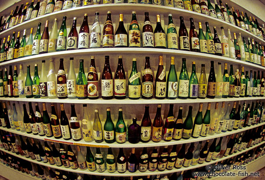 Rượu sake - Cách uống sake Nhật Bản ngon đạt chuẩn